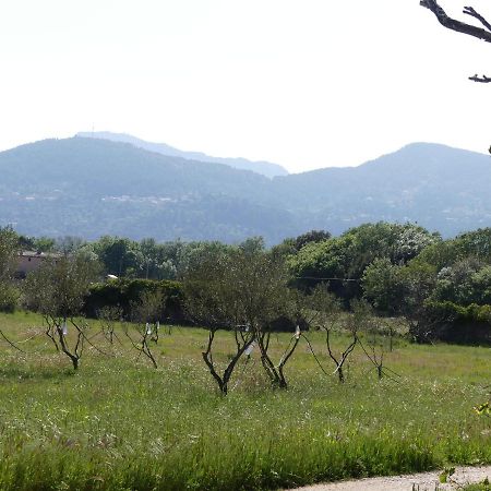 Le Charme D'Une Vieille Bastide Provencale Соллигс-Понт Экстерьер фото