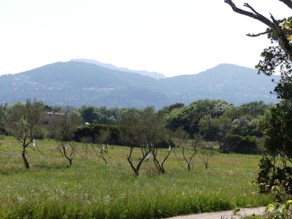Le Charme D'Une Vieille Bastide Provencale Соллигс-Понт Экстерьер фото