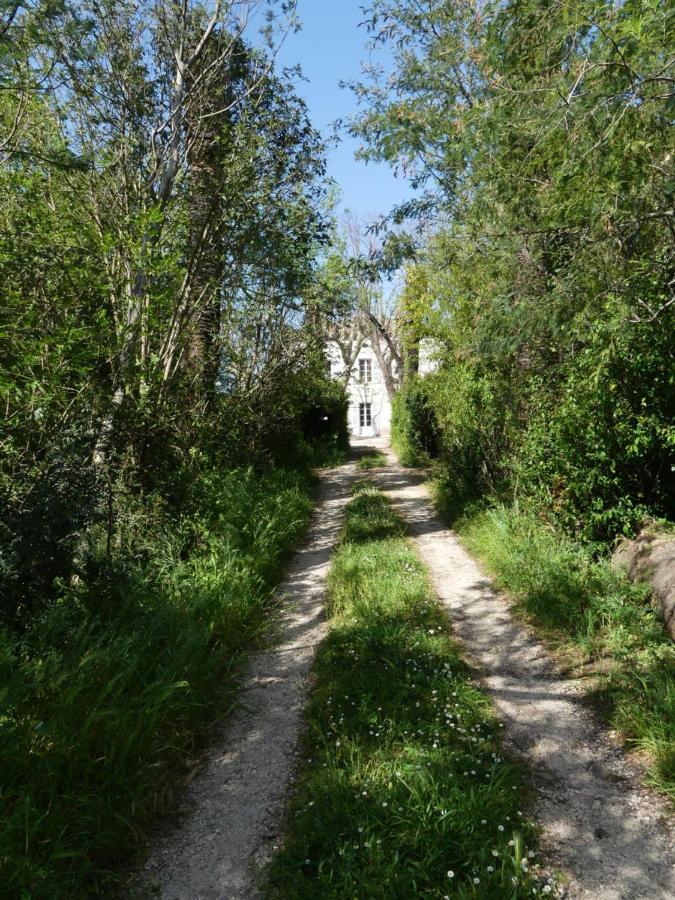 Le Charme D'Une Vieille Bastide Provencale Соллигс-Понт Экстерьер фото