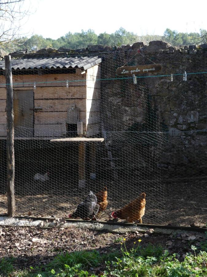 Le Charme D'Une Vieille Bastide Provencale Соллигс-Понт Экстерьер фото